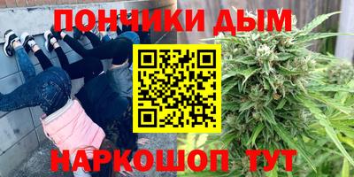 прущие грибы Моздок