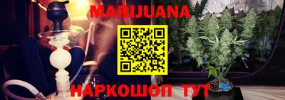 спиды Можга