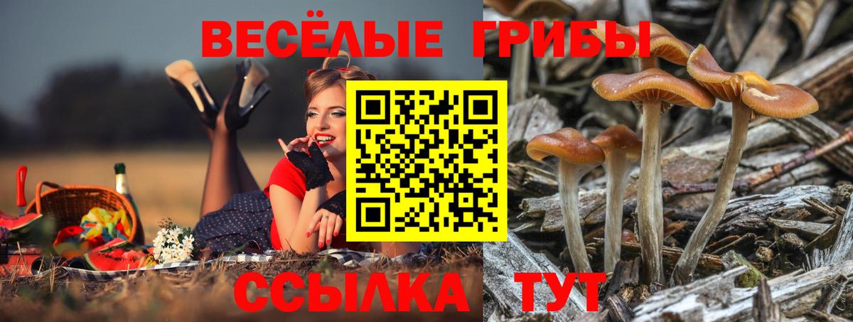 Усолье-Сибирское  Псилоцибиновые грибы прущие грибы  Вход с VPN 