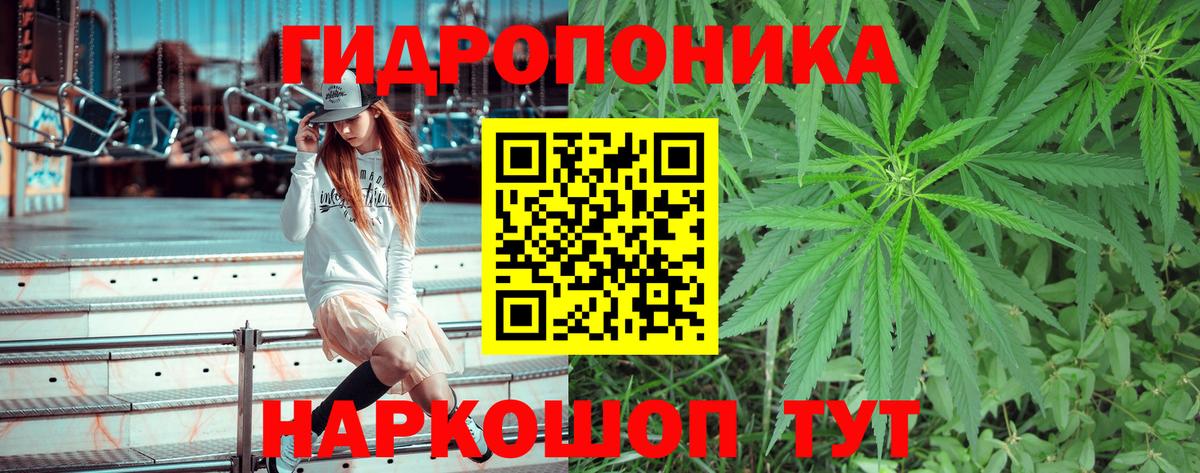 Конопля сатива  Вход с VPN  Каннабис план  Усолье-Сибирское 